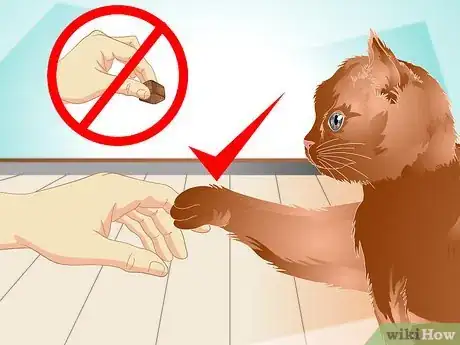 Image titled Teach a Cat to "High Five" Step 11